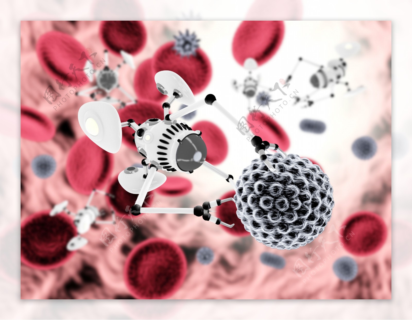 红血球与病毒
