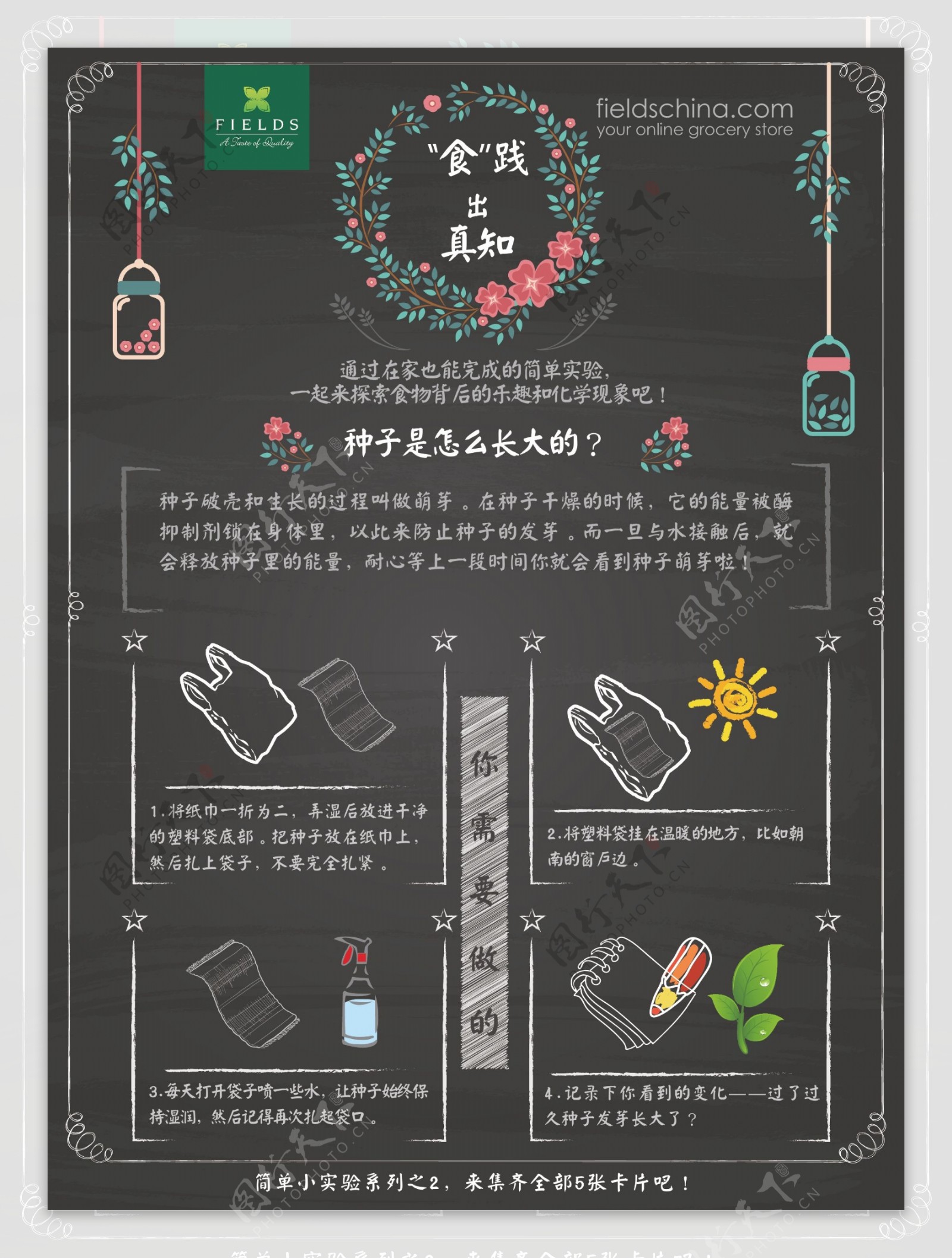 实验卡片种子中文