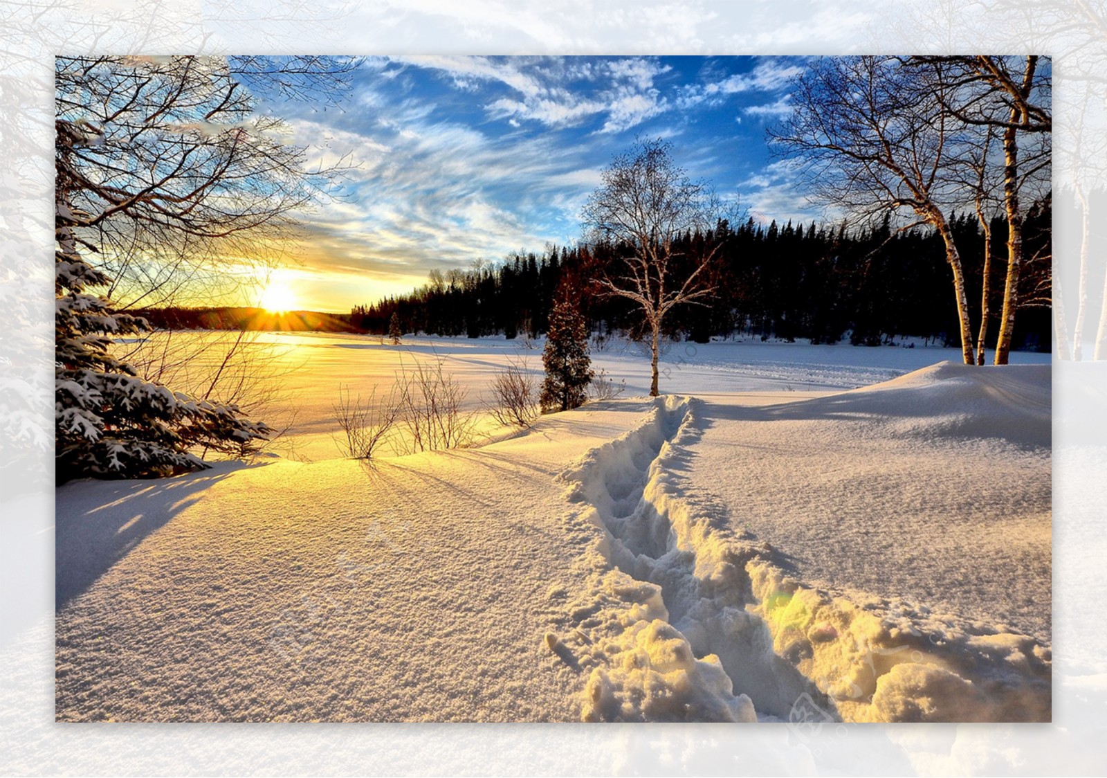 冬天雪地里的太阳高清素材背景图片