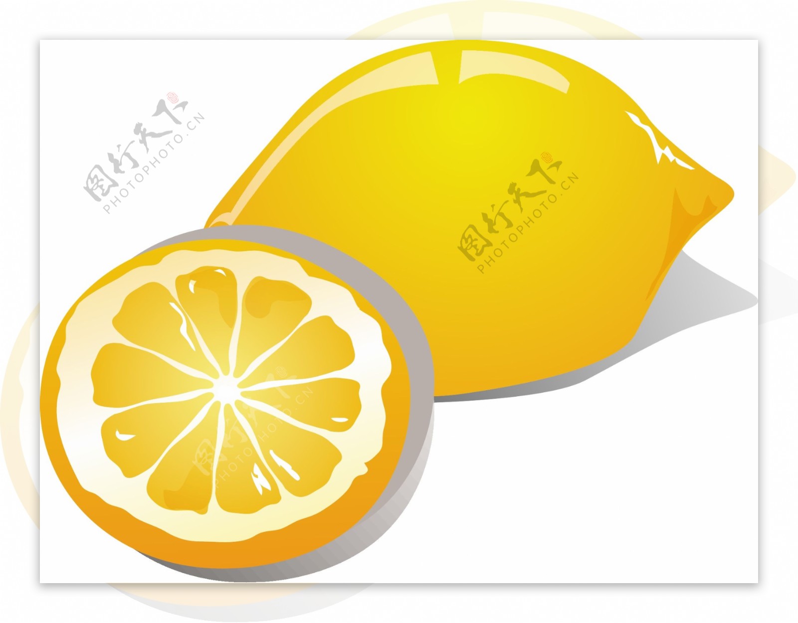 插画水果桔子橙子