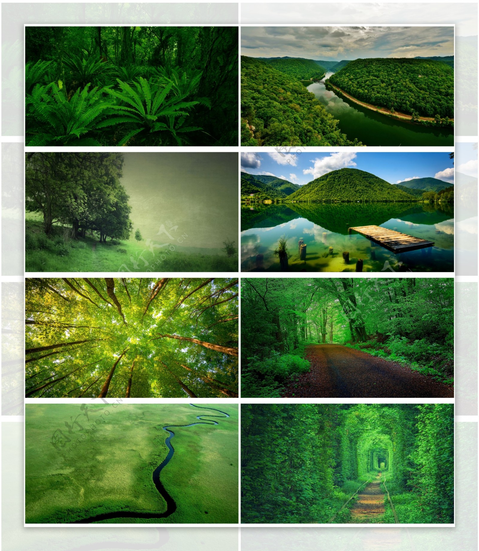 绿色森林背景图