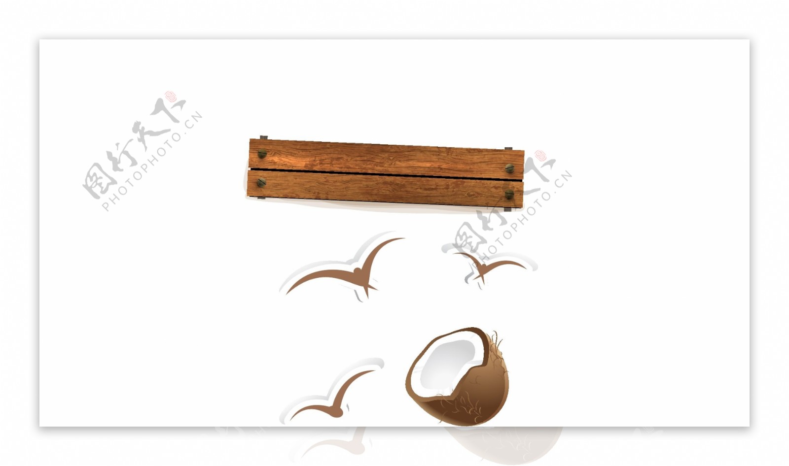 木板海鸥椰子图片