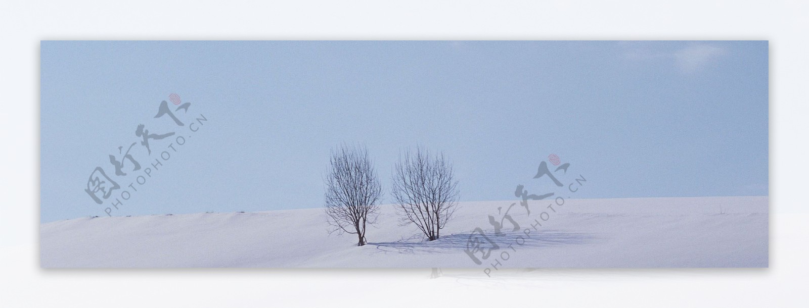 冬天雪景背景图片素材28
