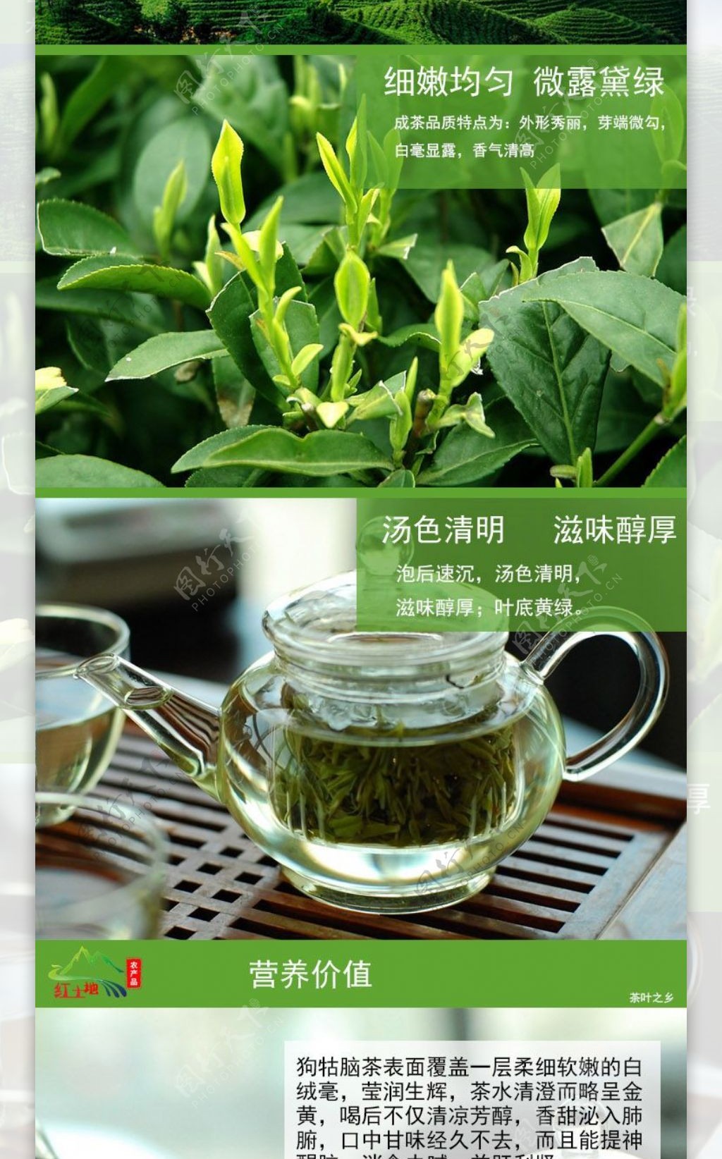 绿茶详情页