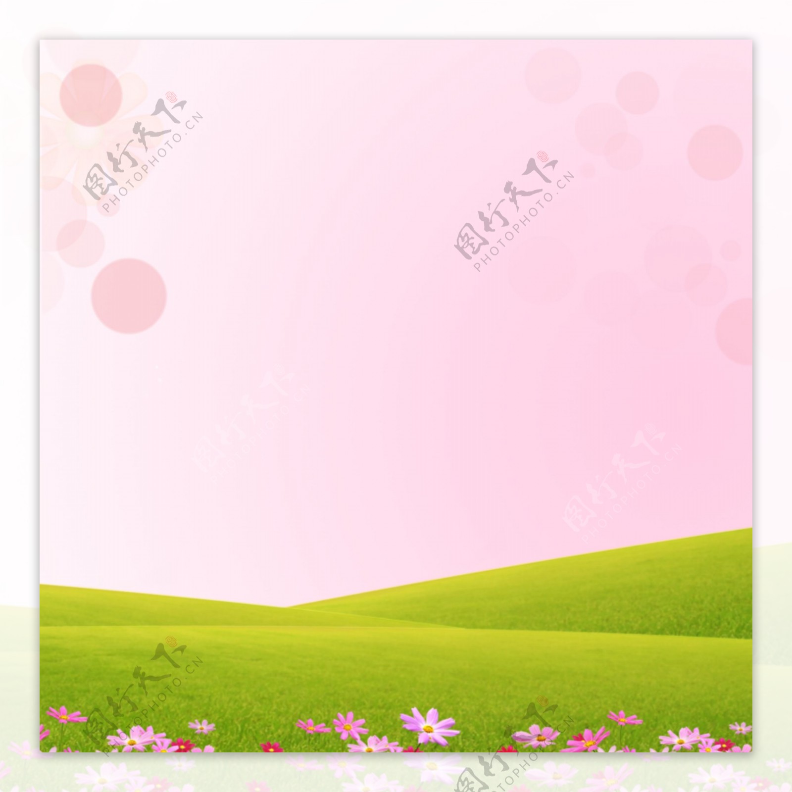 绿草粉色小花背景