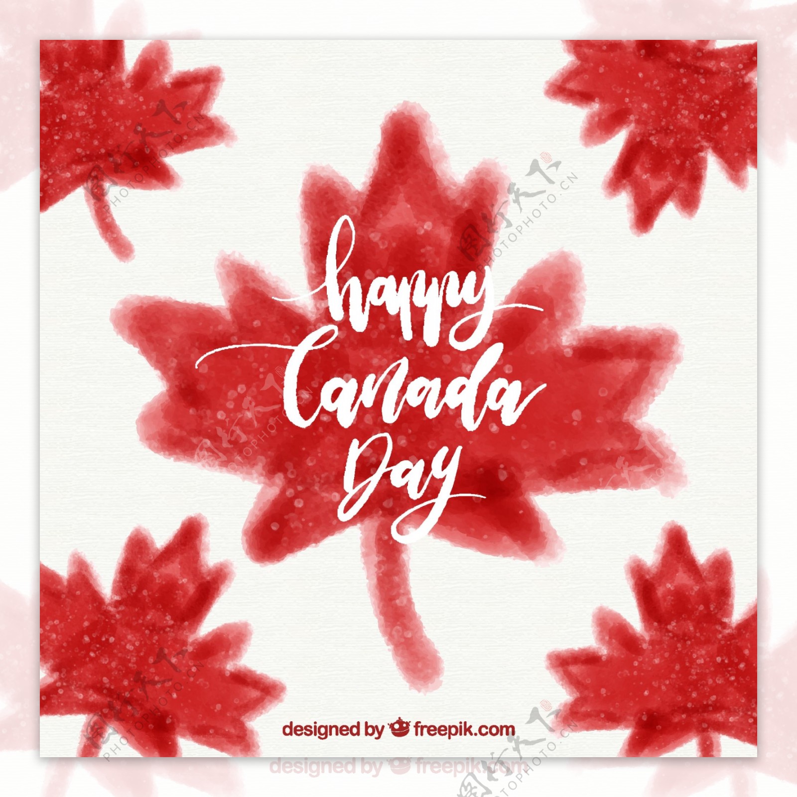 加拿大日背景与水彩树叶