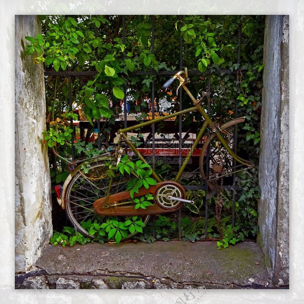 陈旧的自行车