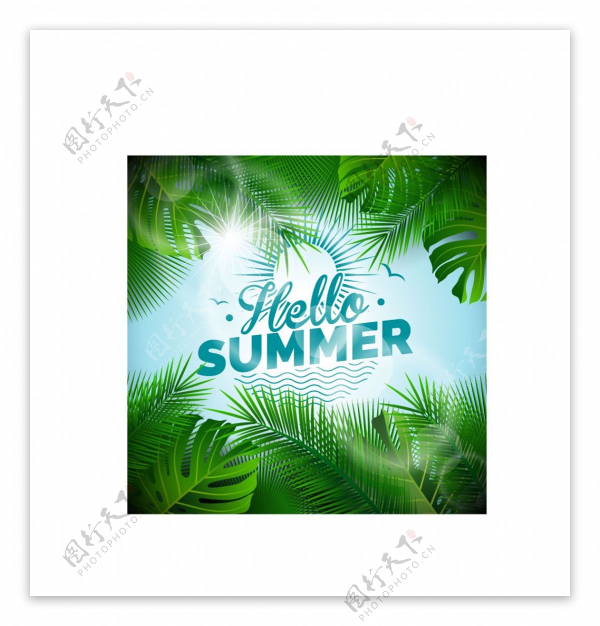 带夏季背景的棕榈树叶框架素材