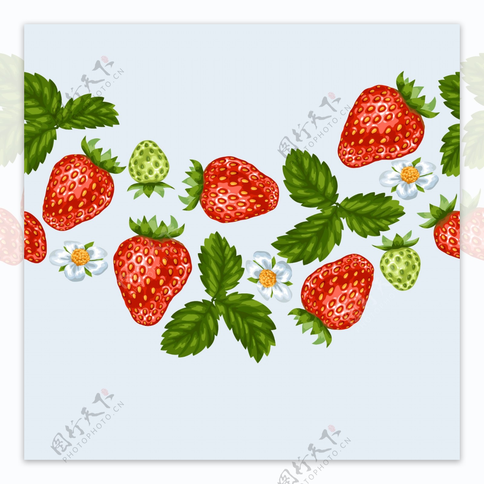 新鲜草莓水果插画