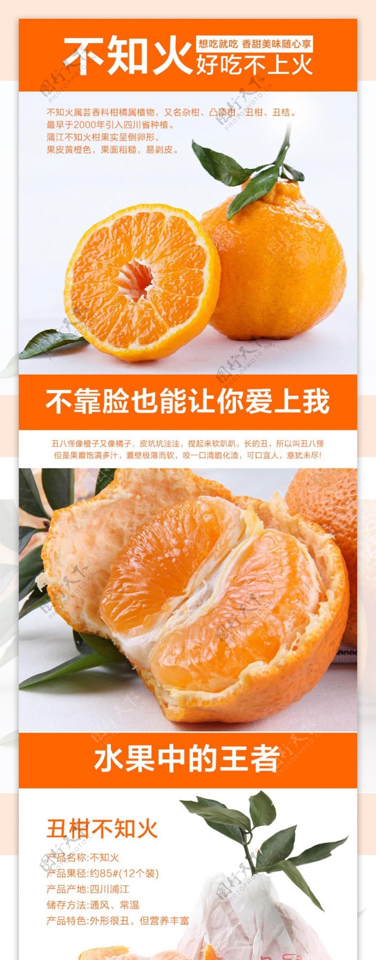 四川丑橘详情页