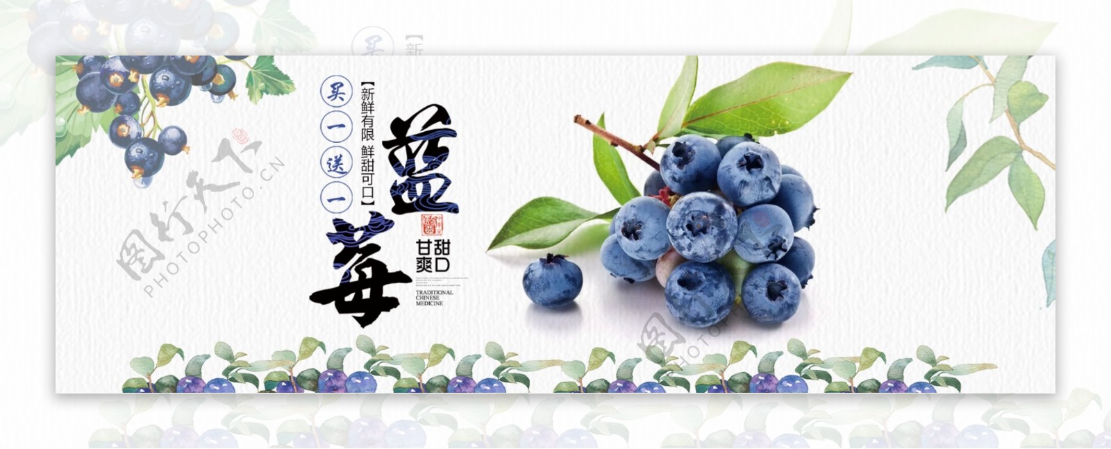 清新文艺水果生鲜食品蓝莓淘宝banner