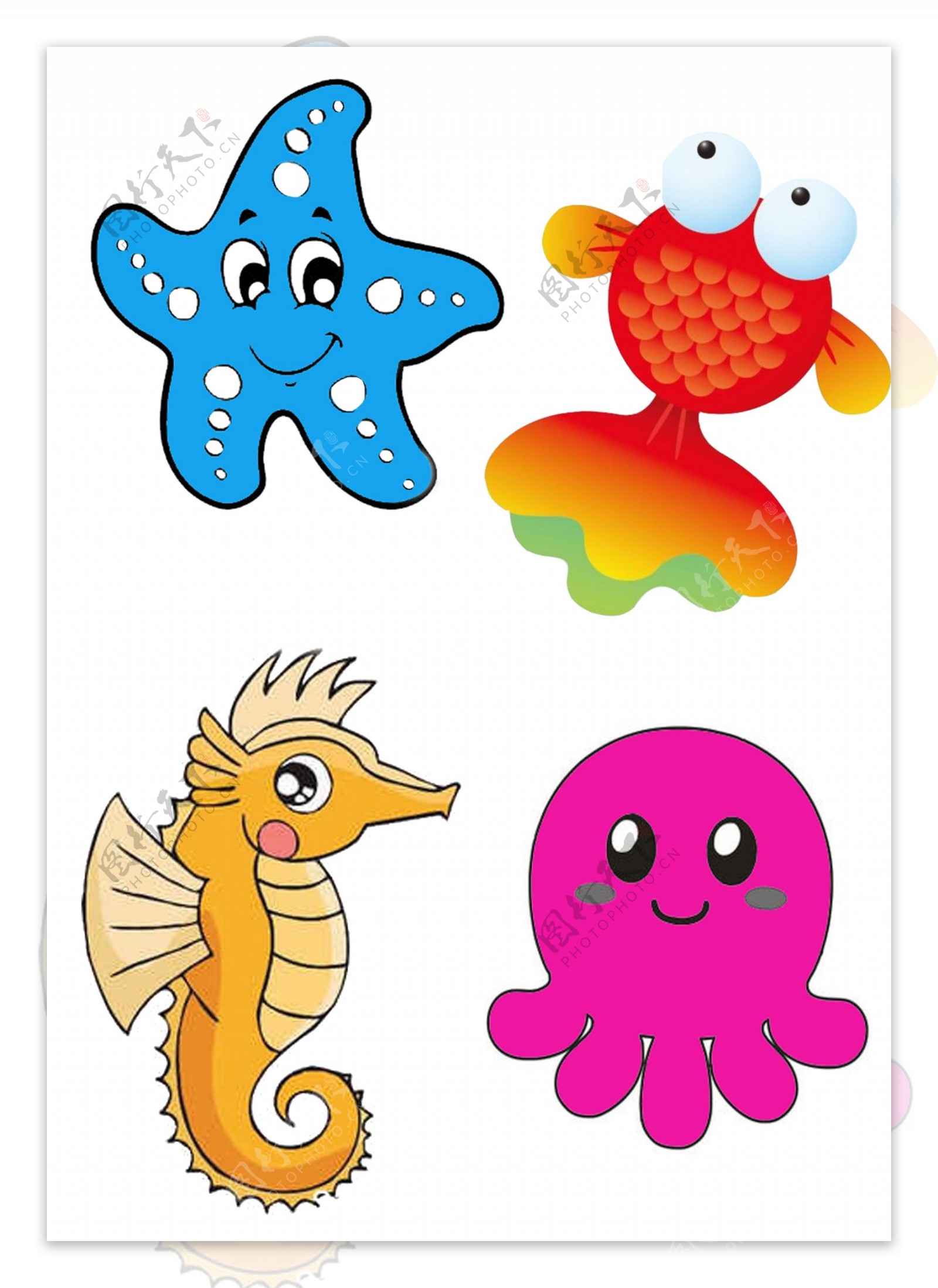 海底动物插画