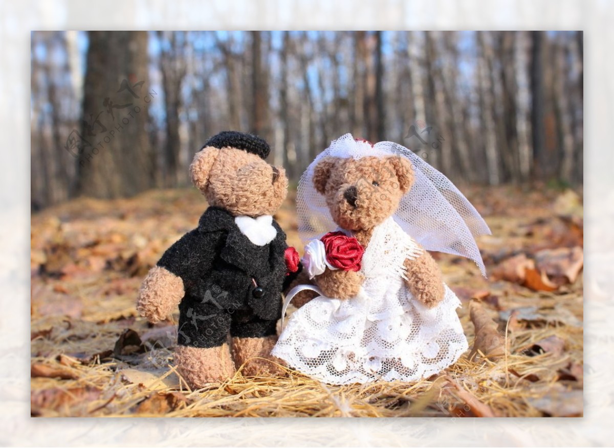 泰迪熊结婚