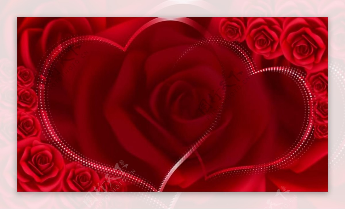 漂亮玫瑰花瓣拼成双爱心视频素材