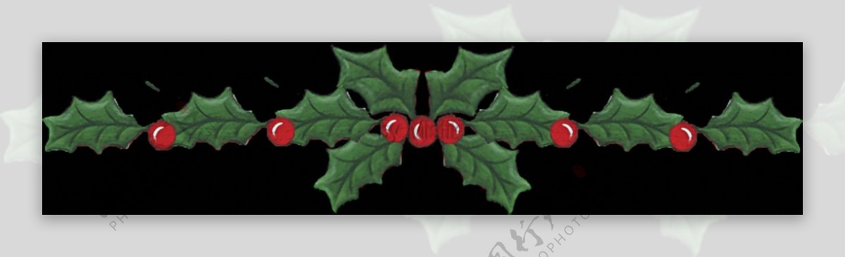 圣诞绿叶装饰图免抠png透明素材