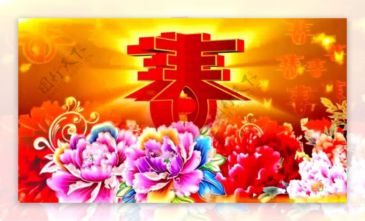 中国农历新年春节春暖花开喜庆
