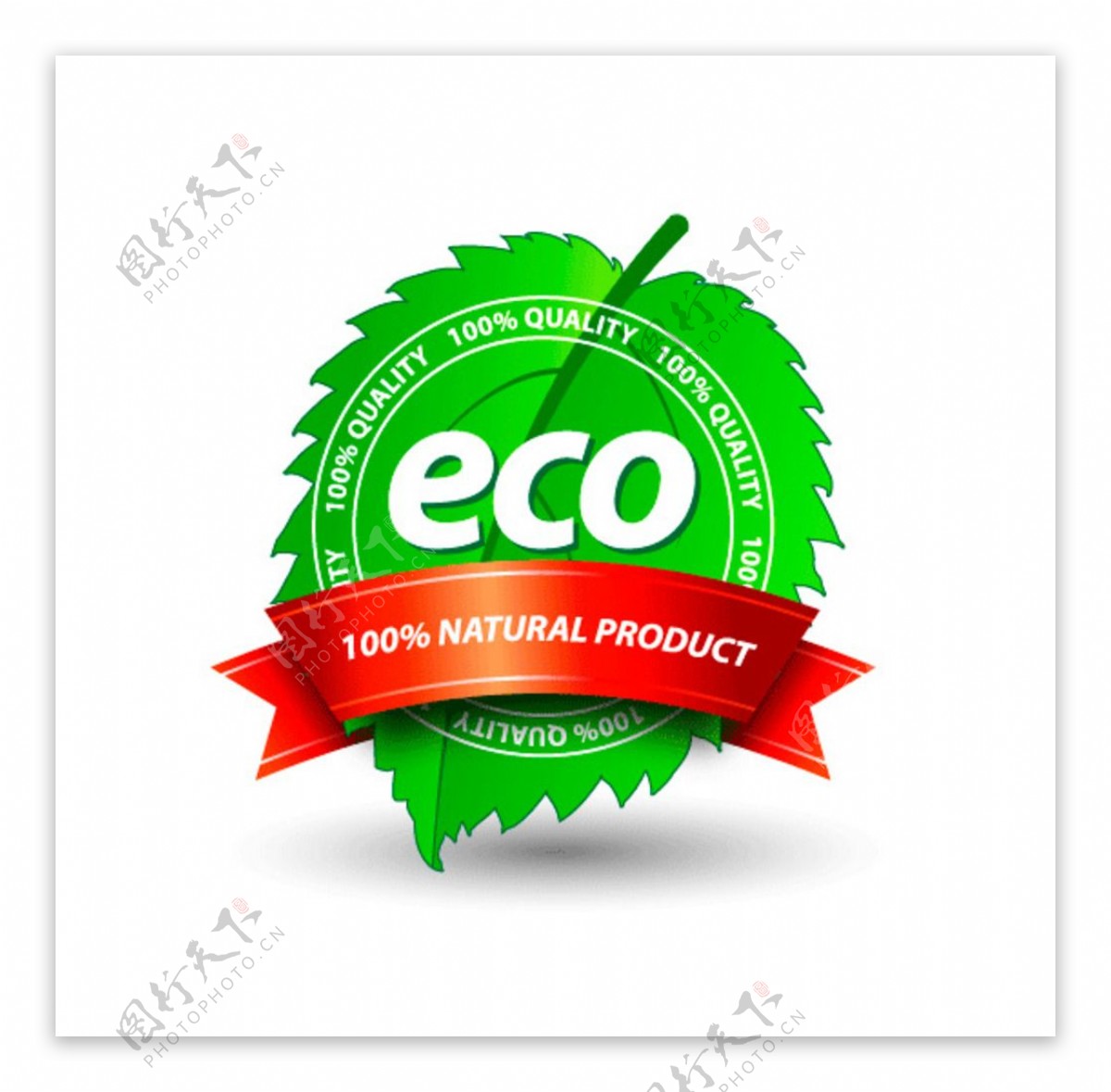 eco叶子标签立体图标