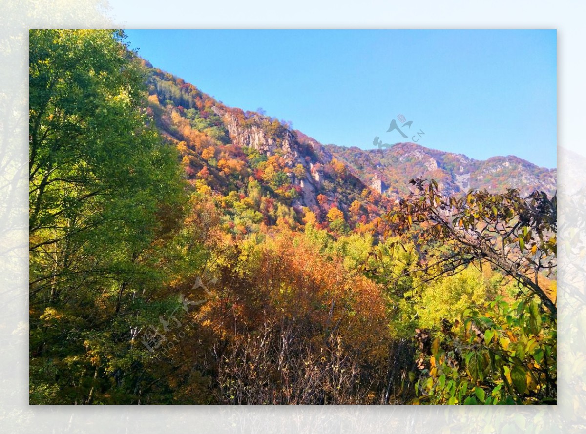 红叶山