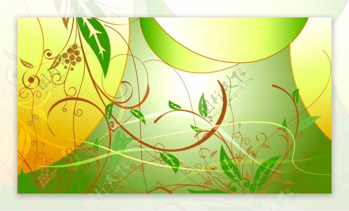 绿色植物生长边框背景视频素材