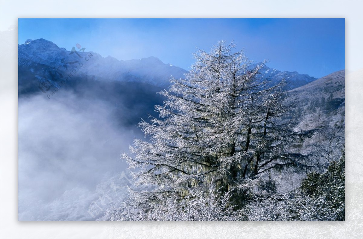 冬天雪景