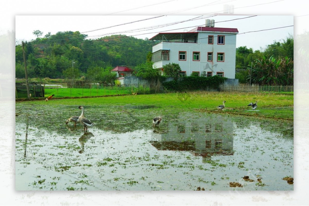 田园风光乡村山水