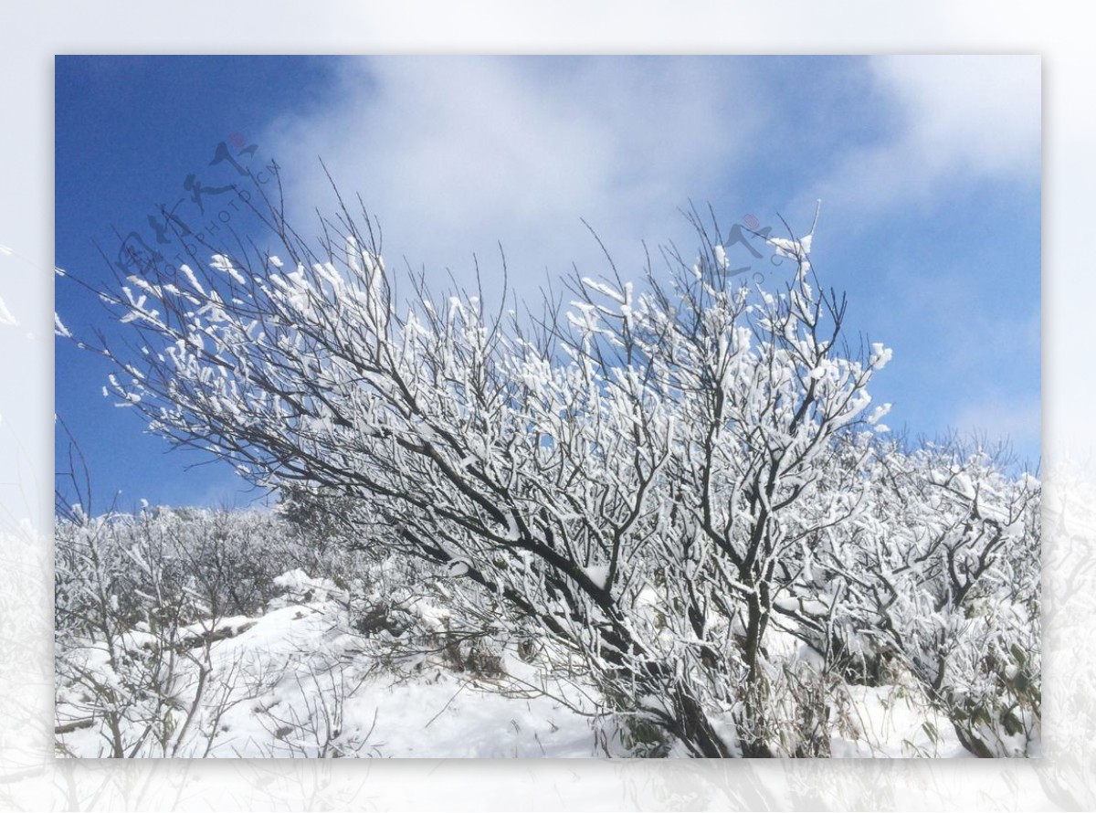 雪