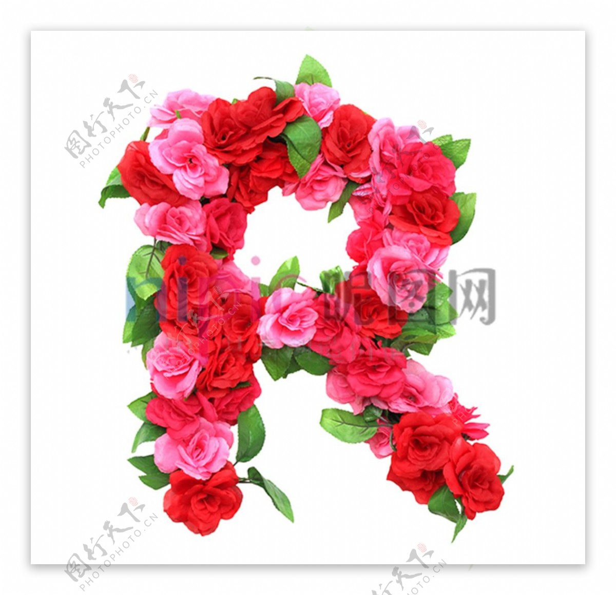 玫瑰花R字母