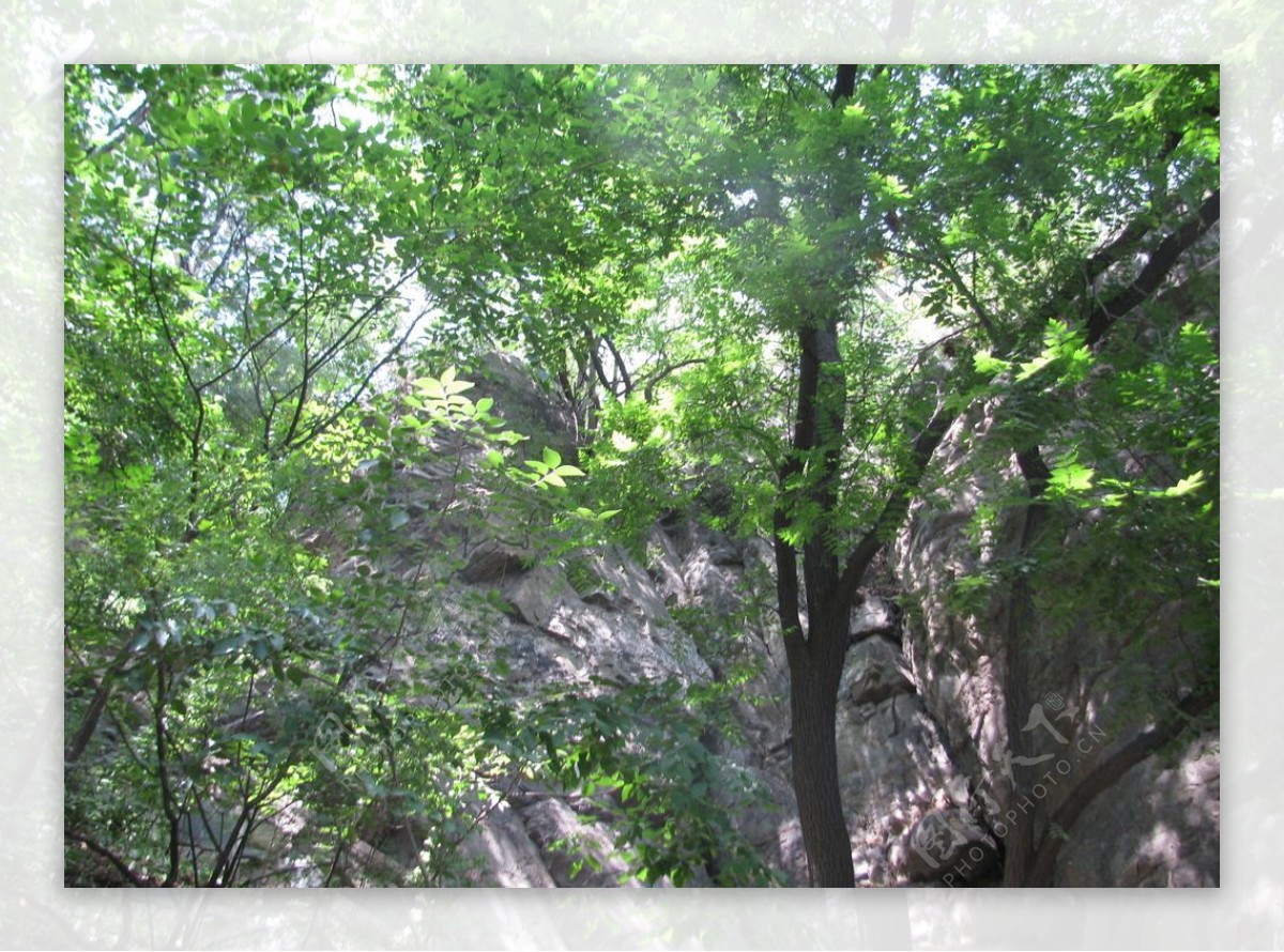 香山风景