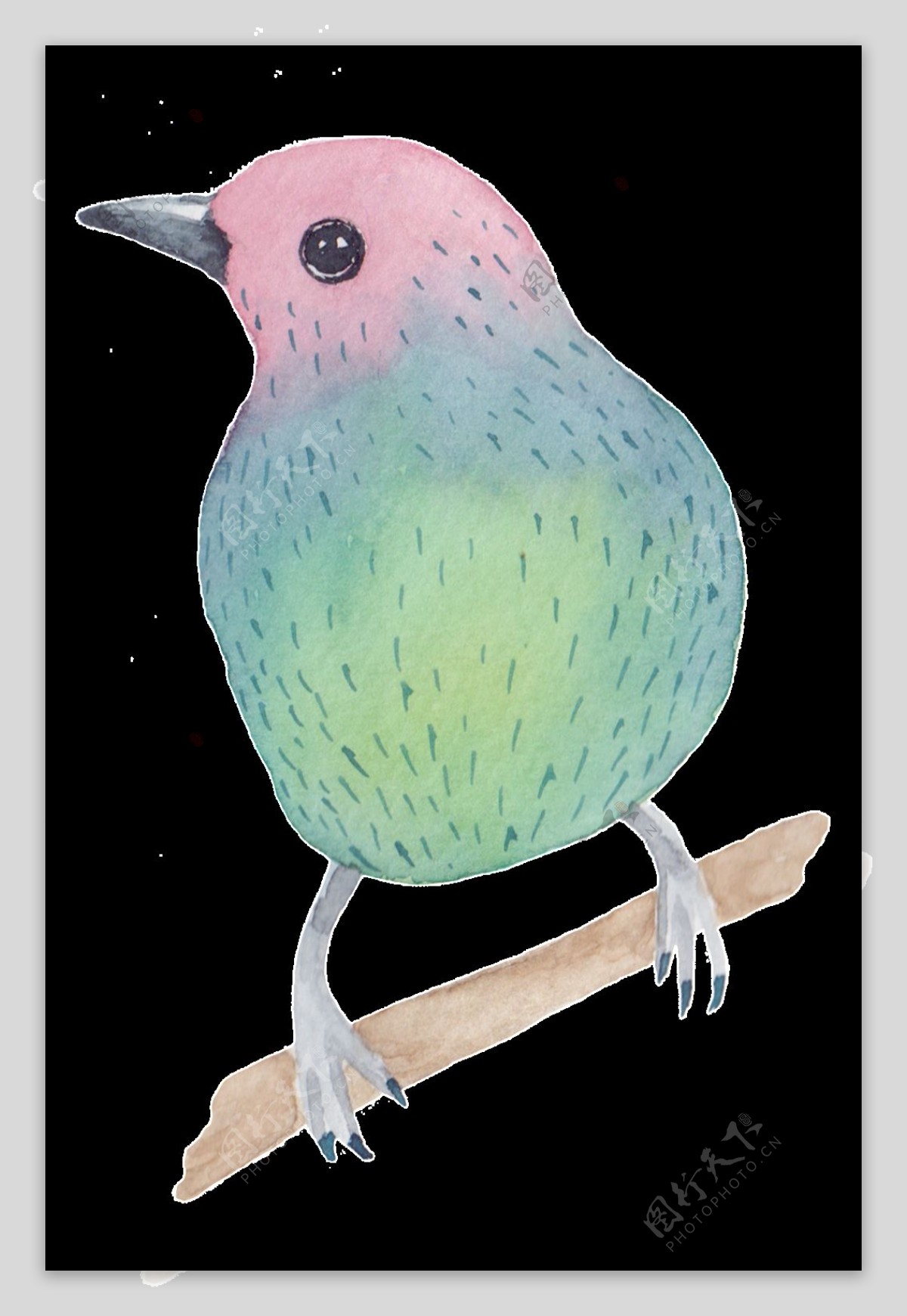 可爱鸟类透明装饰图案