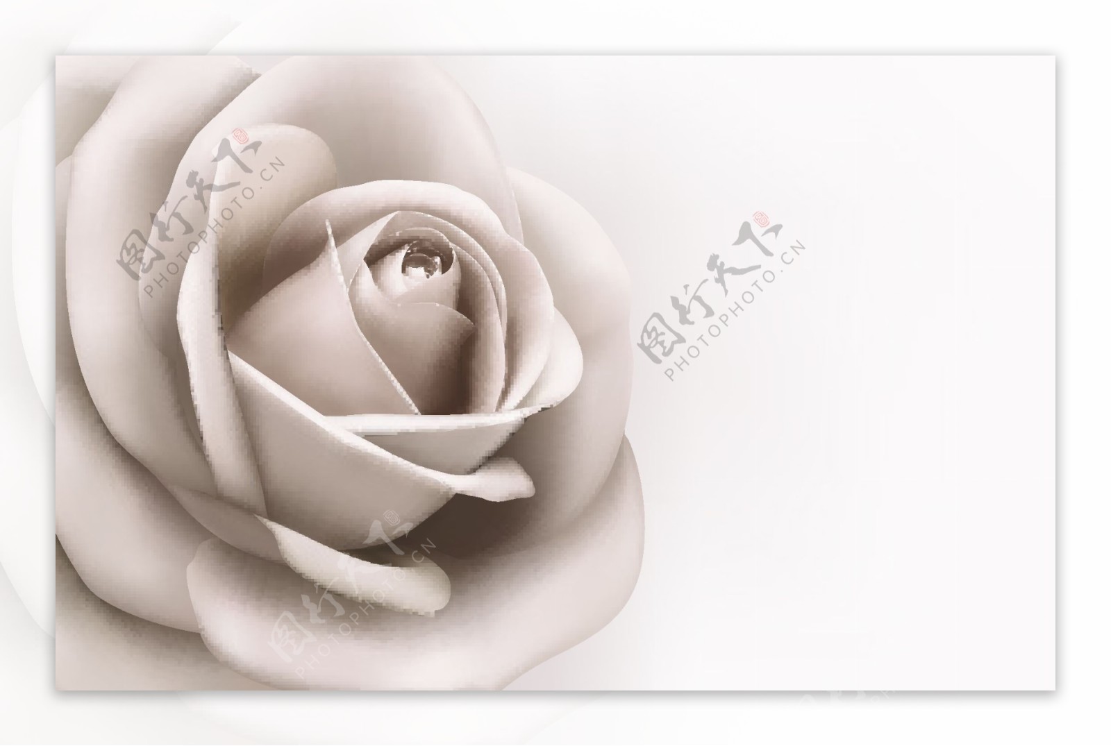 灰色玫瑰花卡通矢量素材