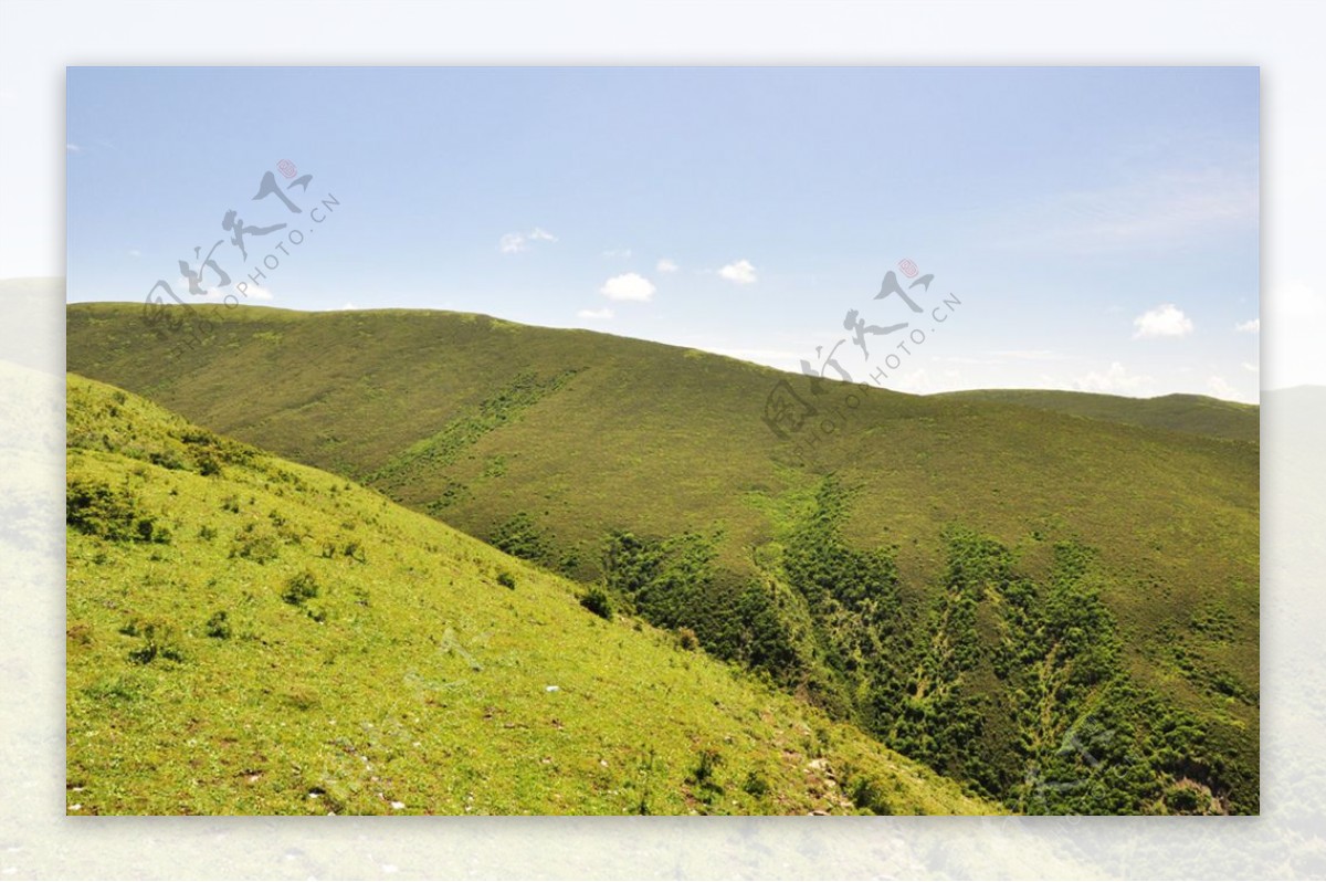 高山草甸