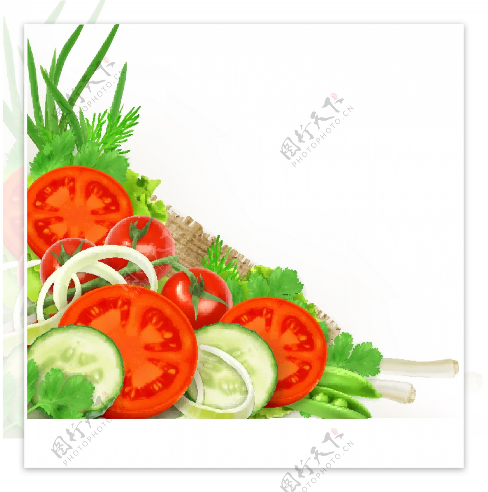 手绘蔬菜水果卡通矢量素材