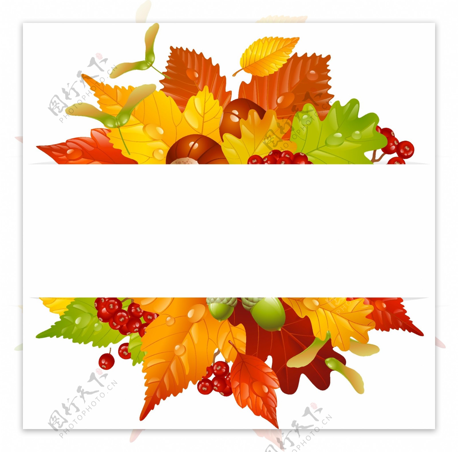 高质量秋季主题矢量装饰图案背景素材