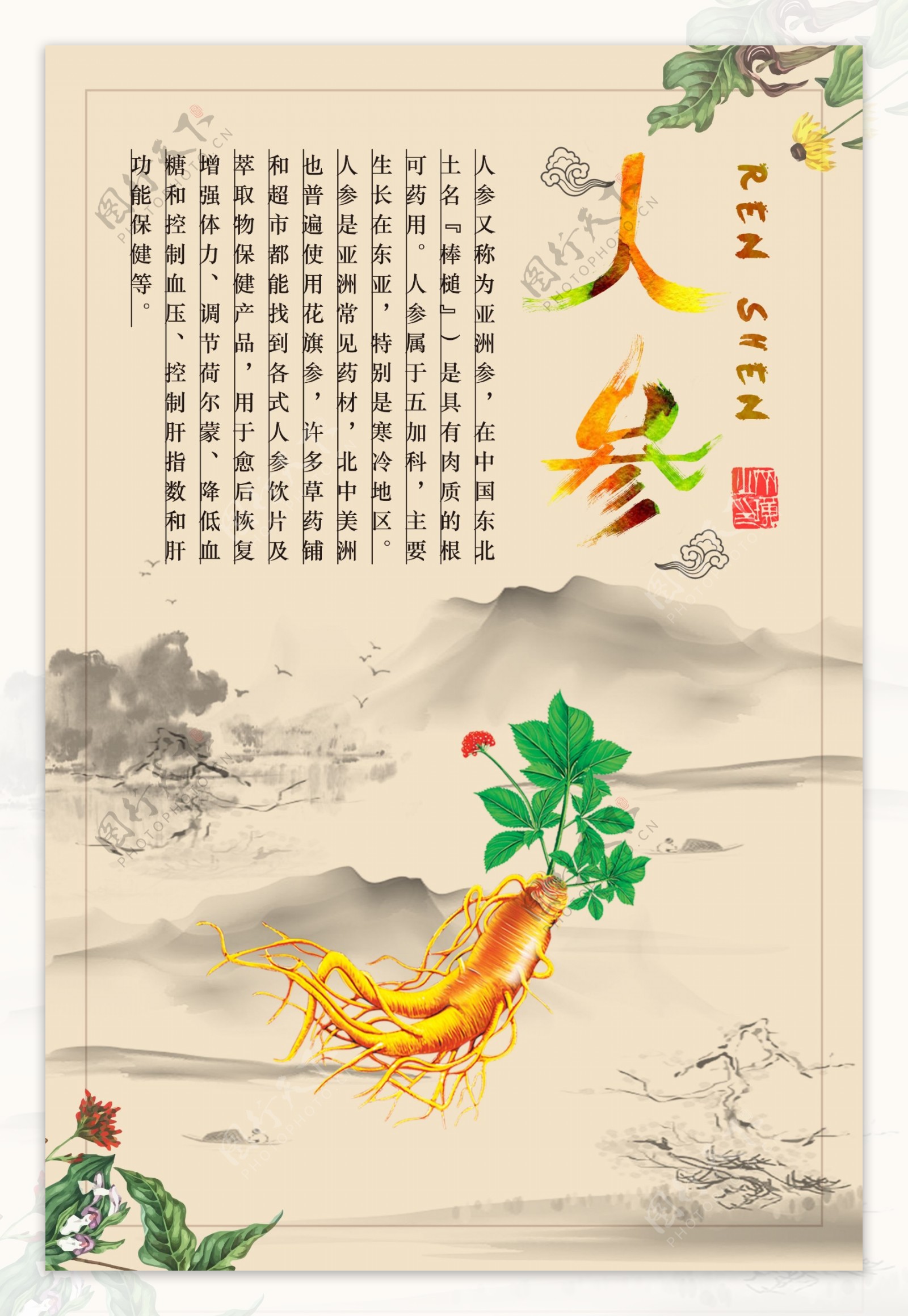 中国风水墨山水传统滋补品人参海报