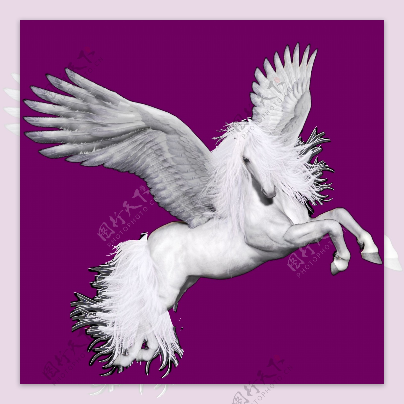 白色飞跃的飞马免抠png透明图层素材