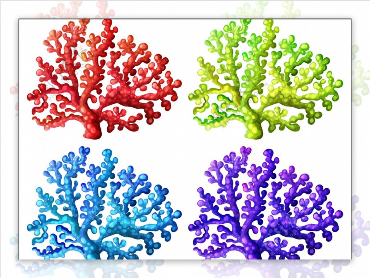 彩色珊瑚