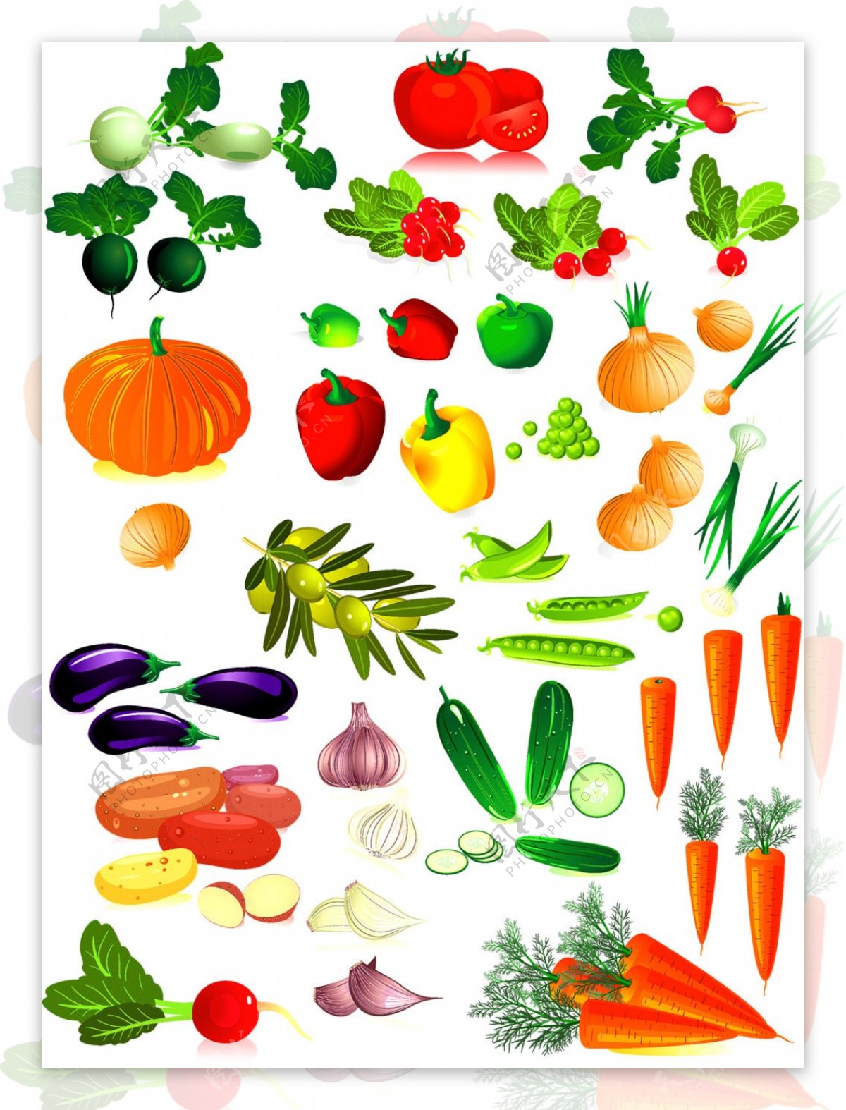 手绘蔬菜卡通图案