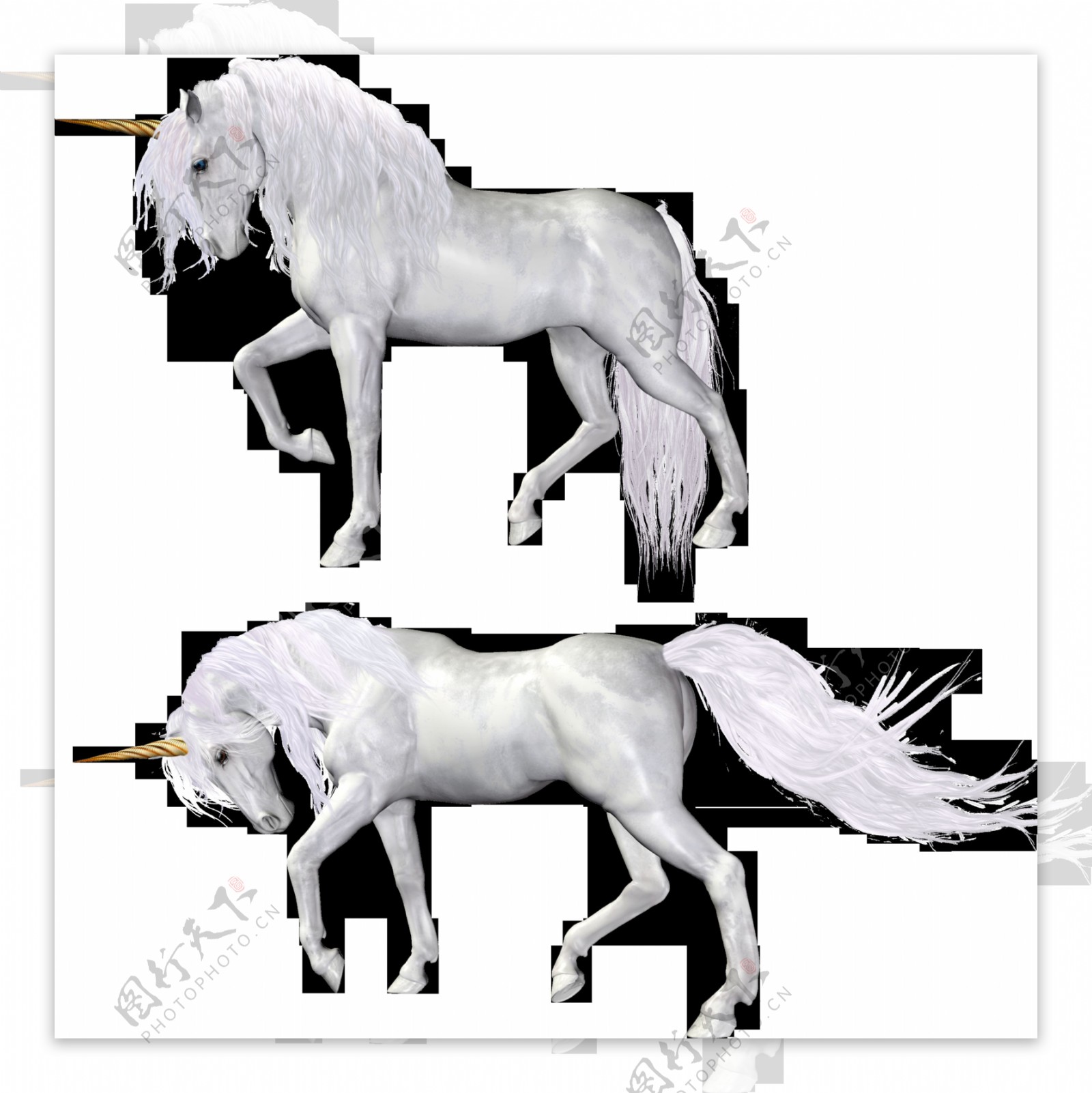 两个白色独角兽免抠png透明图层素材
