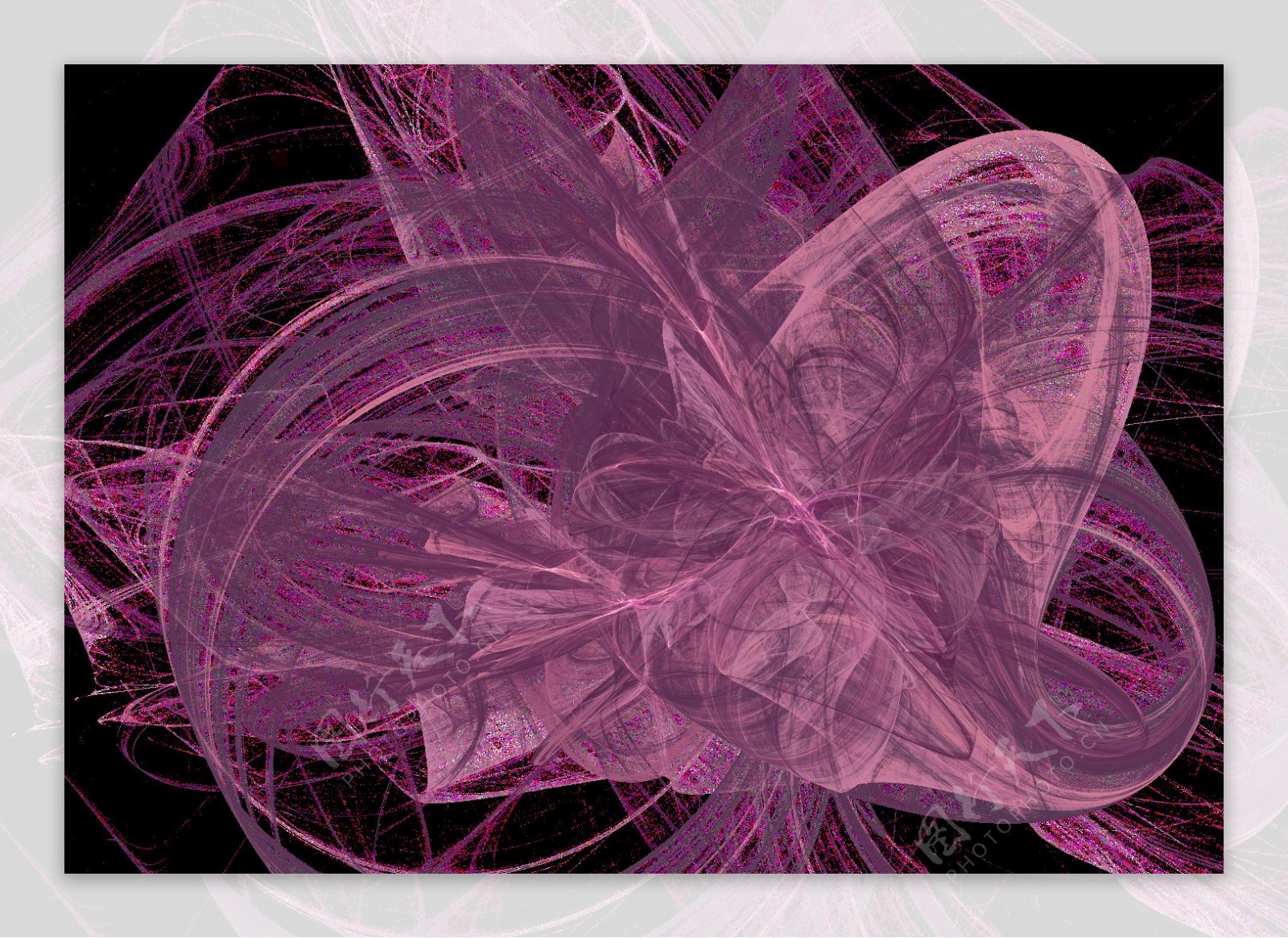 紫色曲线效果图形免抠png透明图层素材