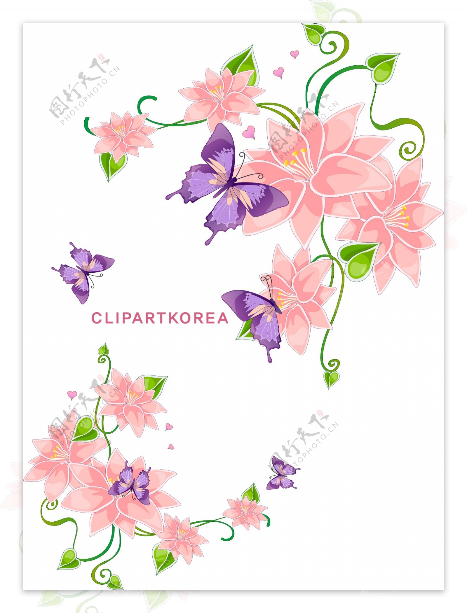 蝴蝶花卉边框装饰素材设计