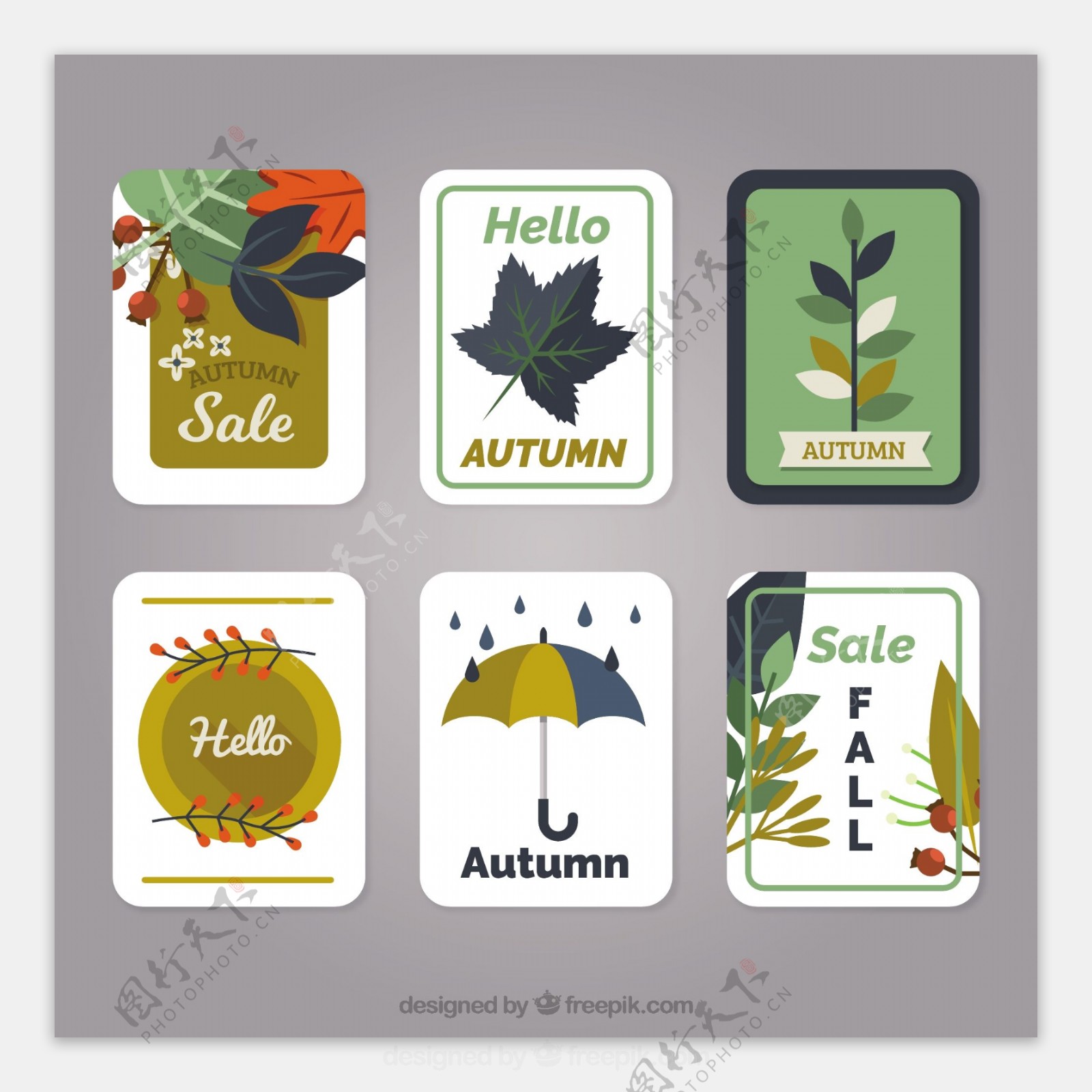 经典秋季卡片包装与平面设计
