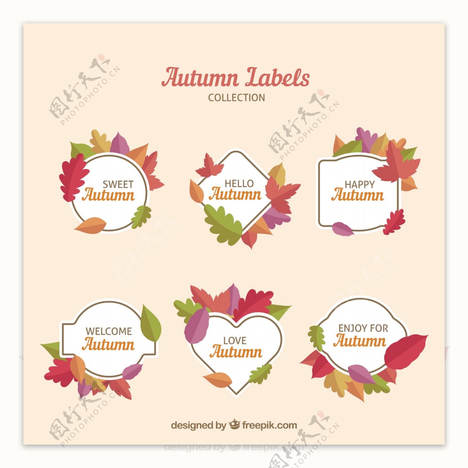 与平面设计丰富多彩的秋天的标签设置