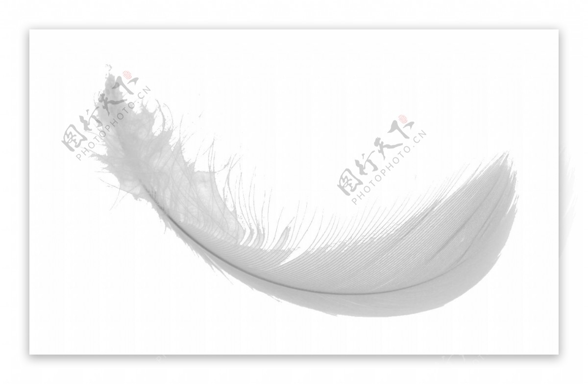 漂亮白色羽毛免抠png透明图层素材