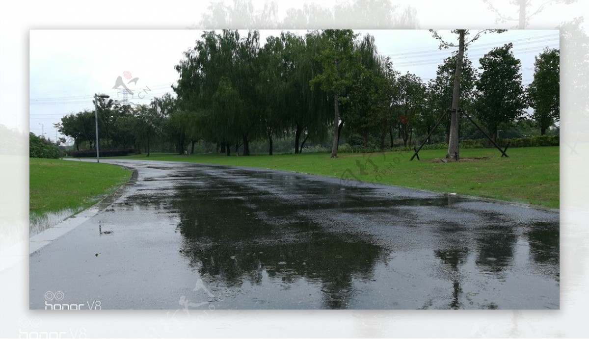 雨后湿漉漉的路面