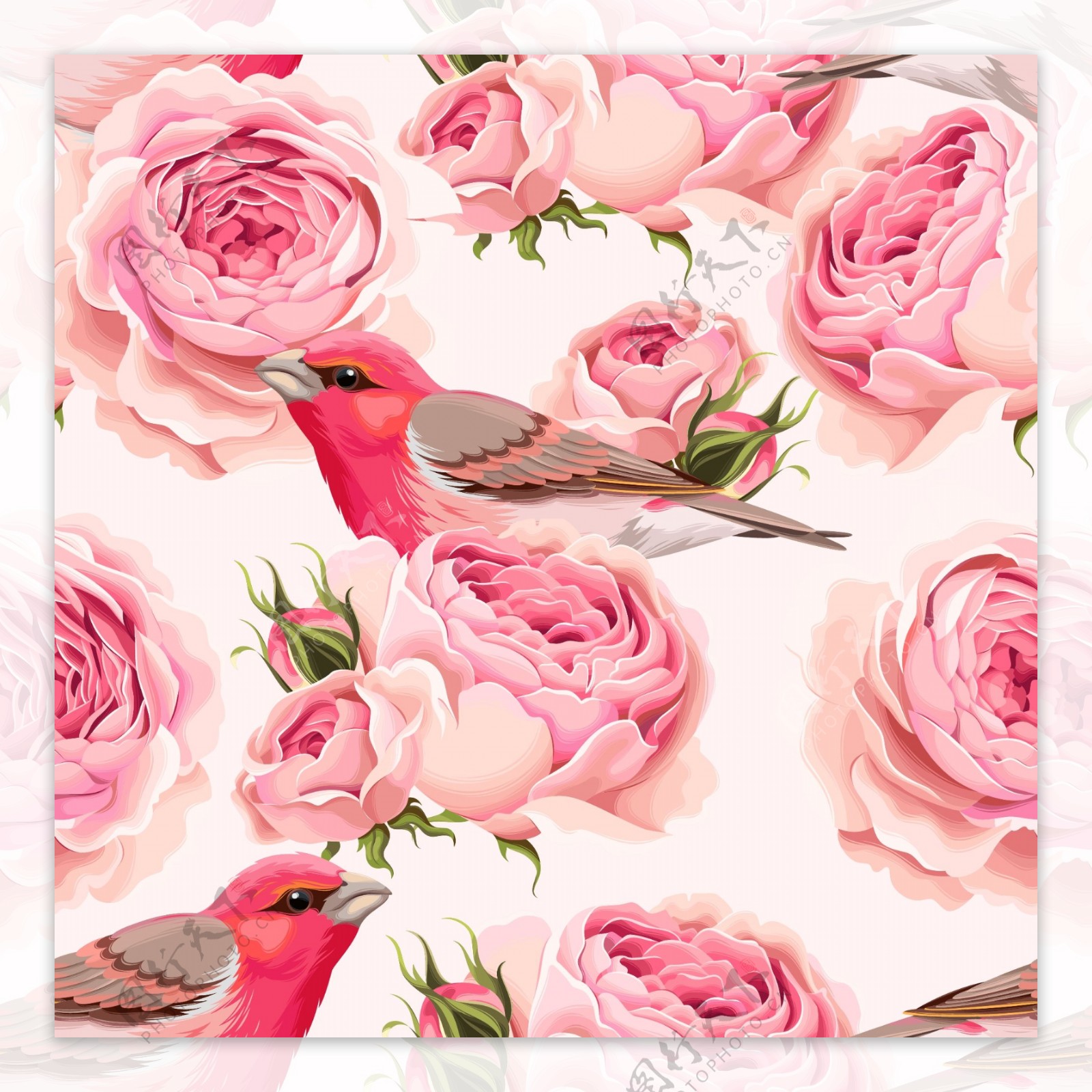 粉色玫瑰和小鸟背景