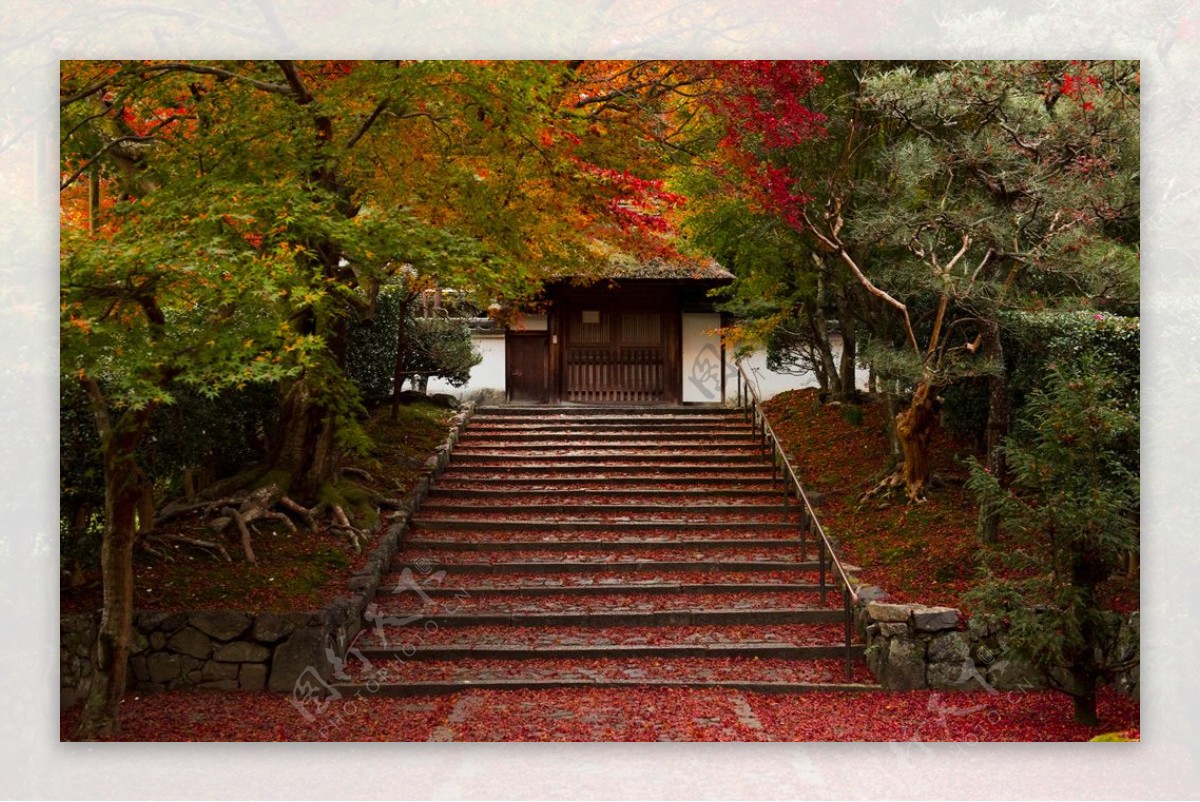 日本京都市公园秋季楼梯