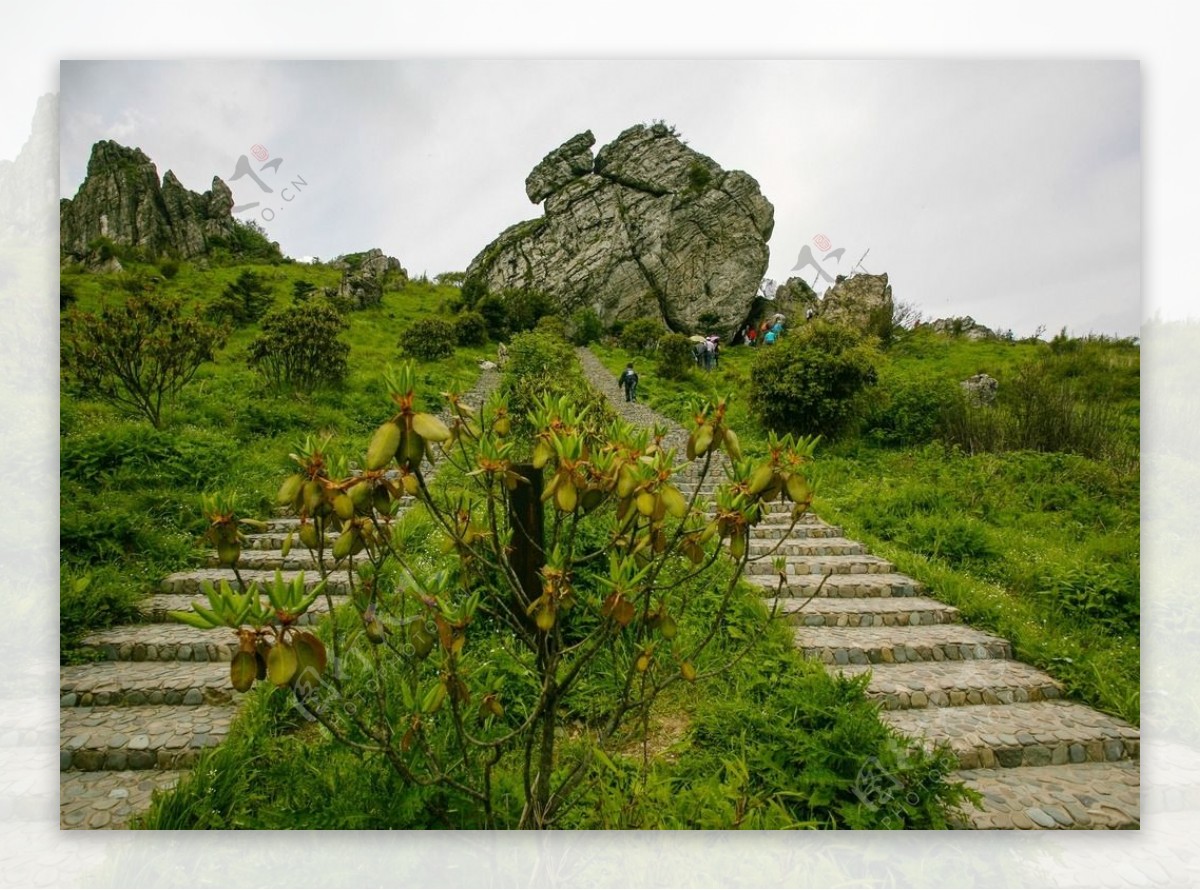 湖北神农架壮阔风景电脑壁纸