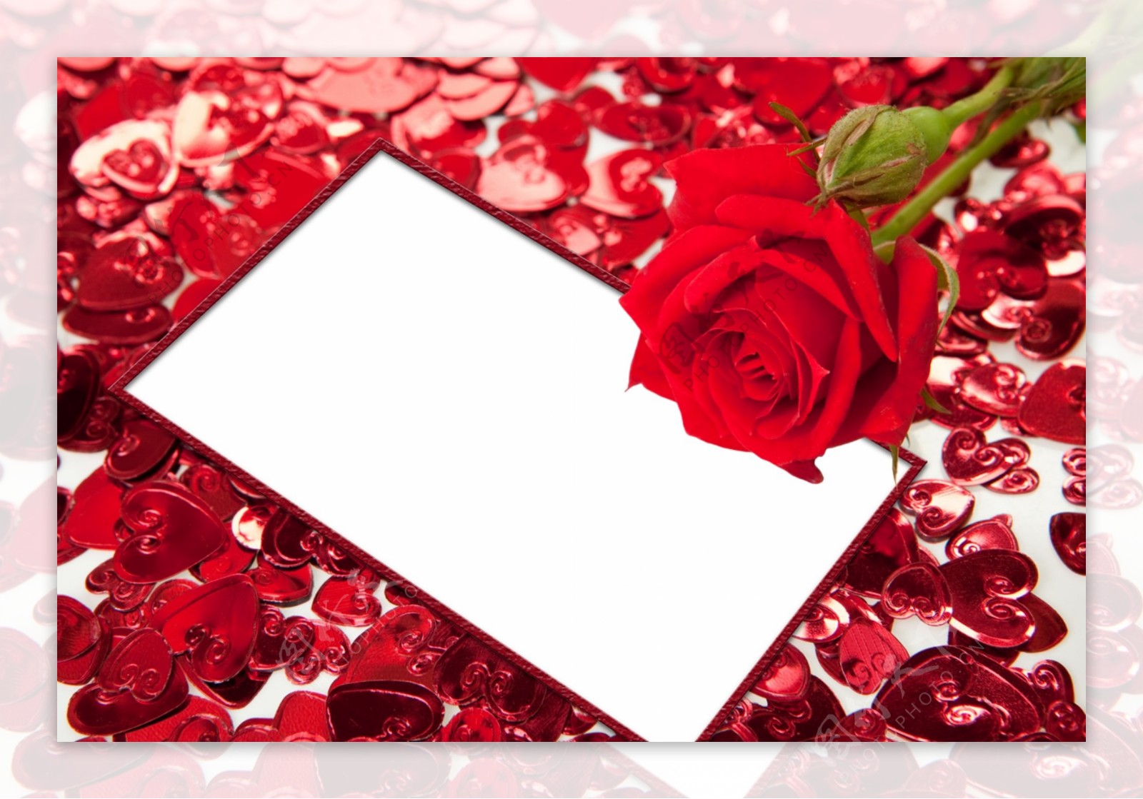 红色玫瑰花边框免抠psd透明素材