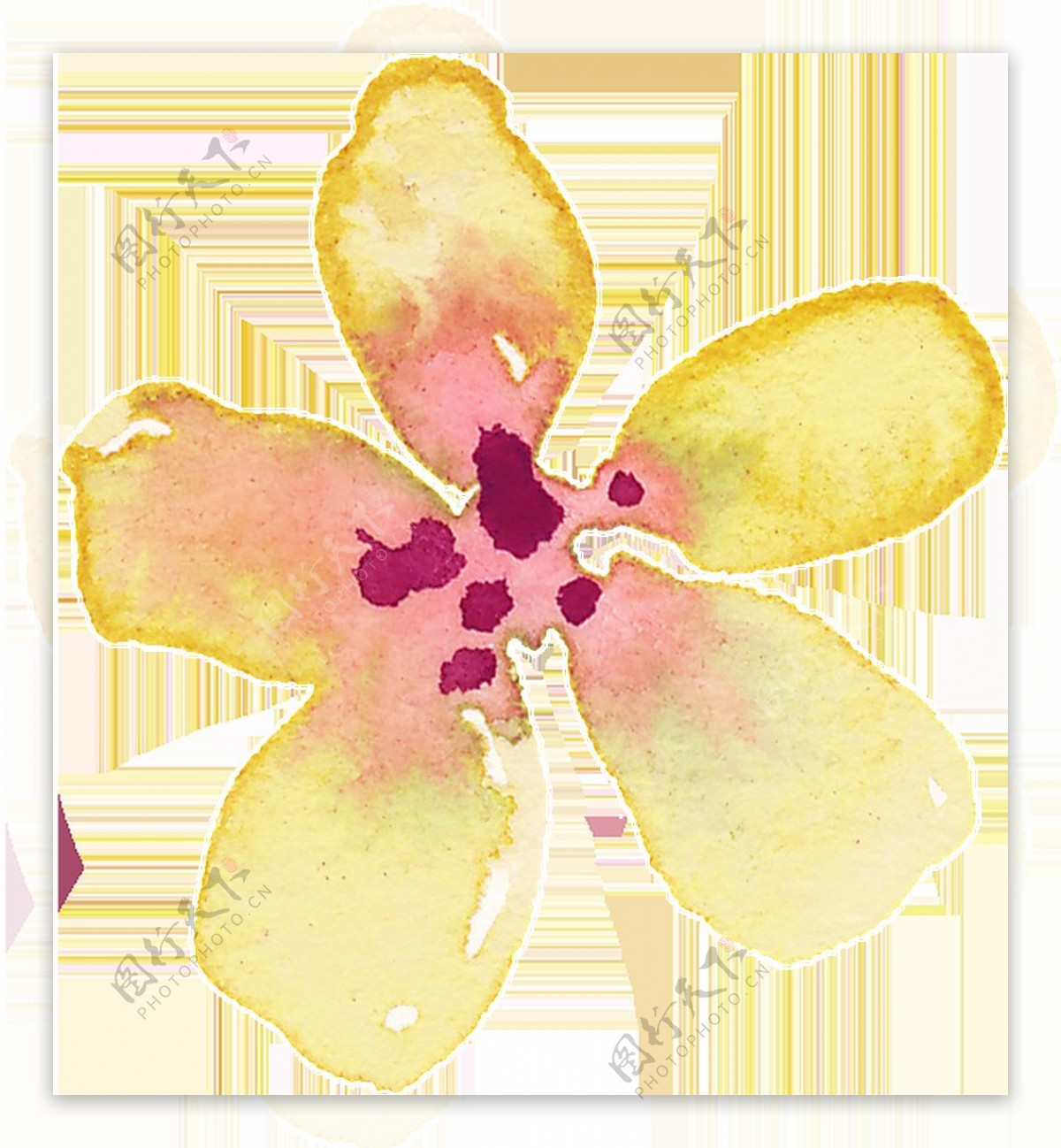 金黄花瓣卡通水彩透明素材