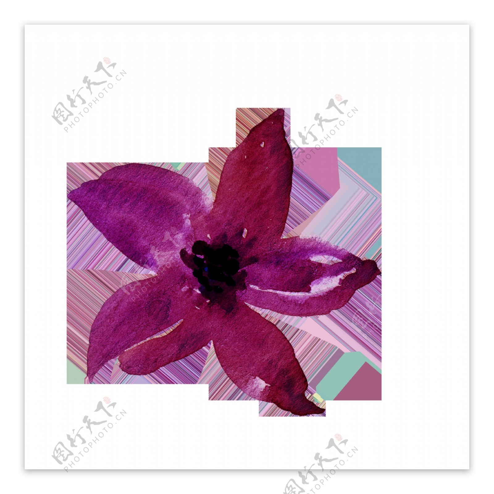紫色樱花飘落卡通透明素材